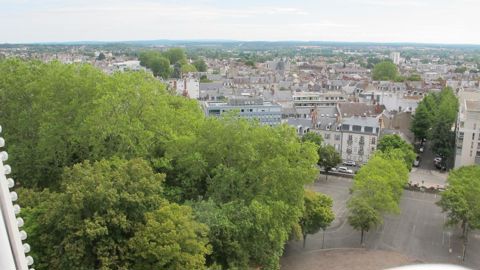Pour connaître sa ressource en arbres, il est possible de calculer et d’évaluer le couvert arboré au dessus du sol. © Pascal Fayolle
